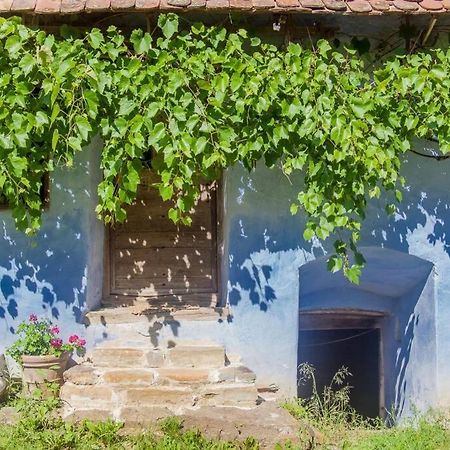 Experience Transylvania Viscri 63B Esterno foto